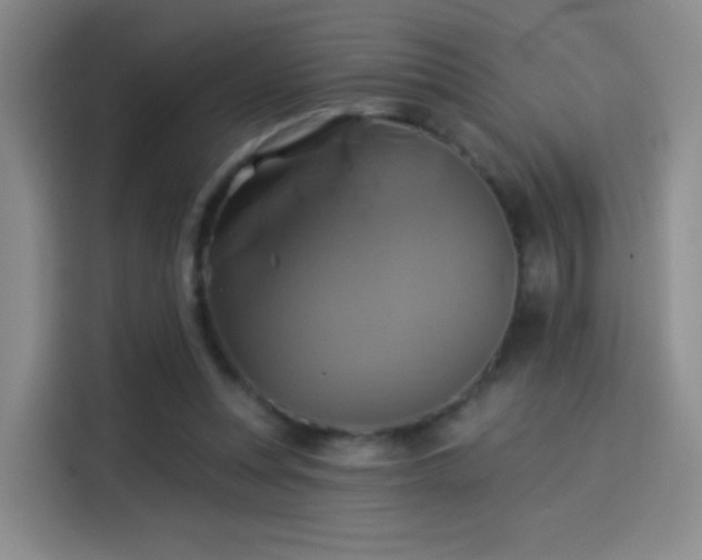 X0000114100351200910131327