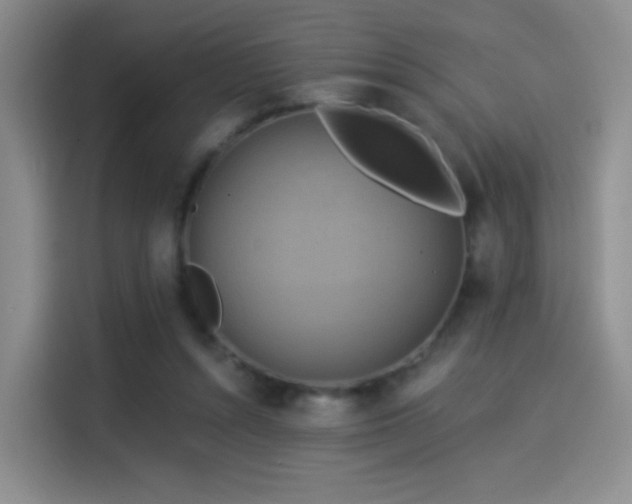 X0000114100352200910131327