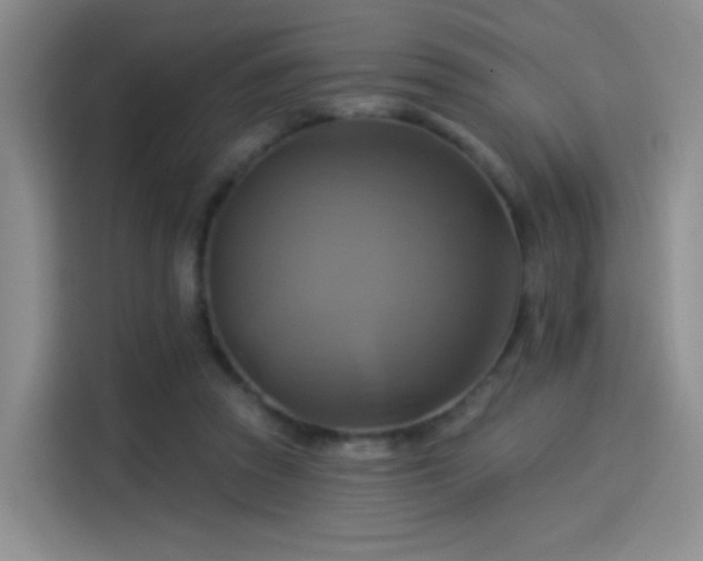 X0000114100353200910131327