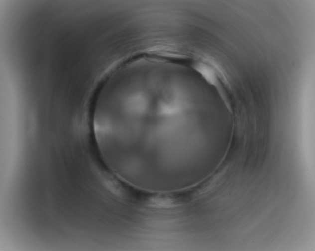 X0000114100354200910131327