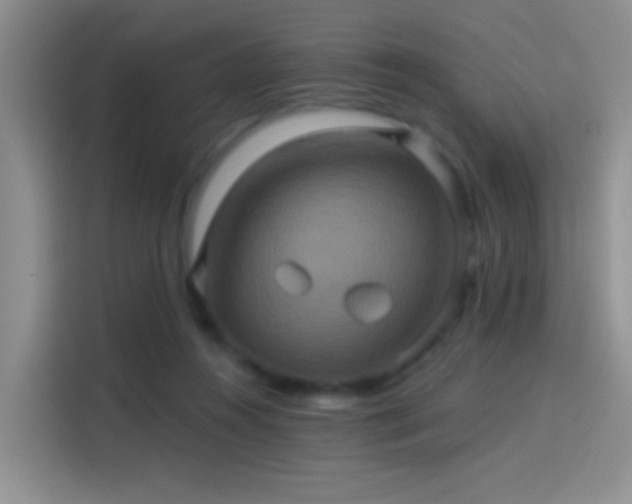 X0000114100360200910131327