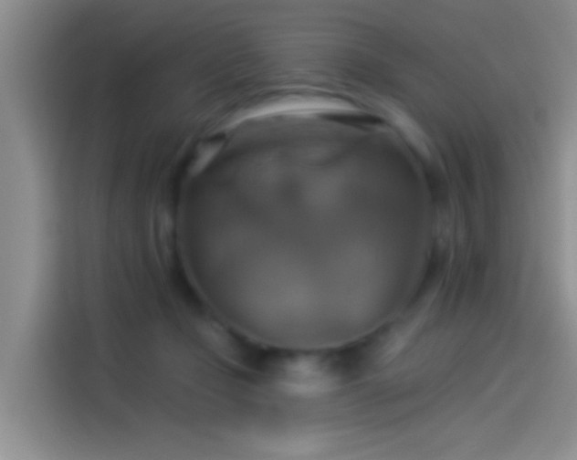 X0000114100365200910131327