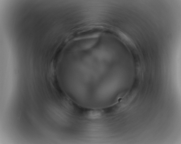 X0000114100373200910131327