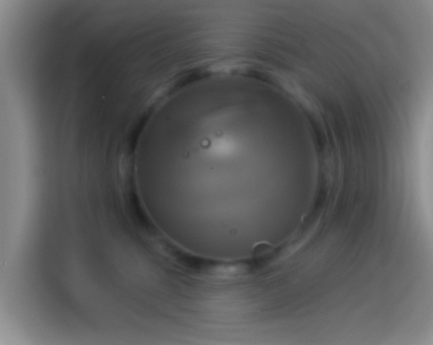 X0000114100375200910131327