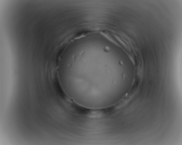 X0000114100376200910131327