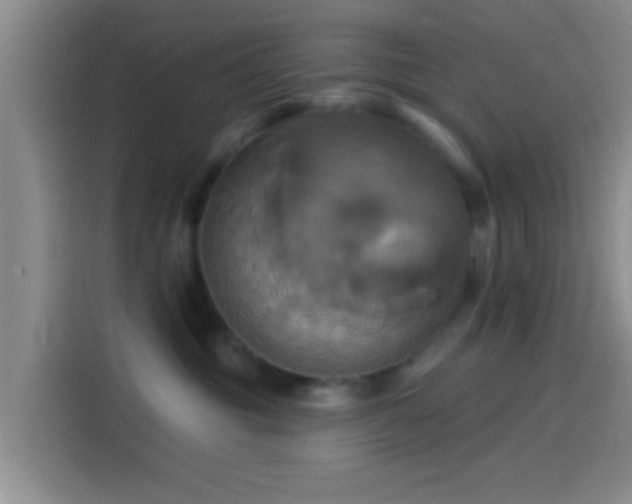 X0000114100381200910131327