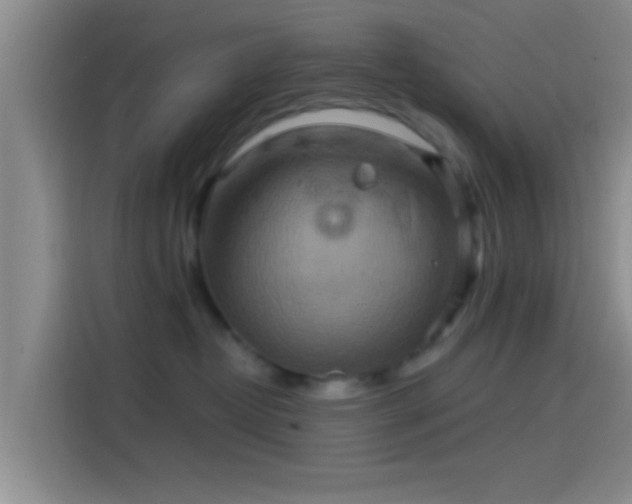 X0000114100382200910131327