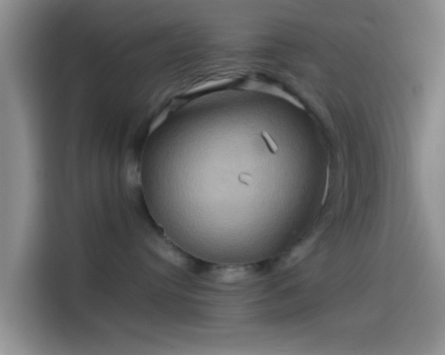 X0000114100384200910131327