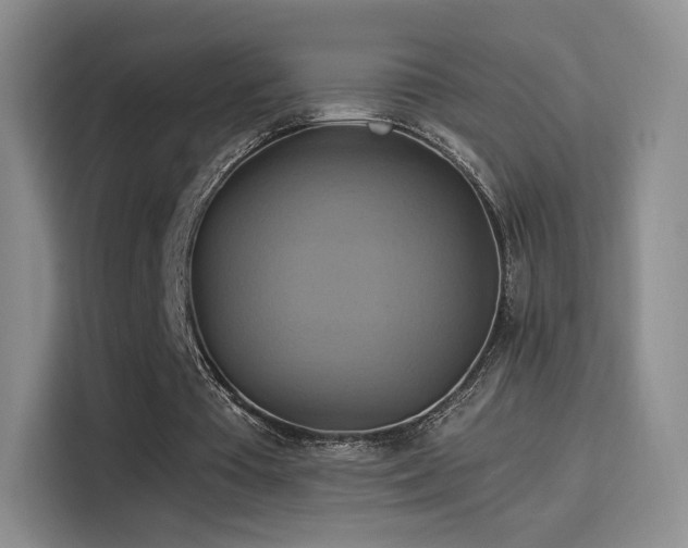 X0000114100385200910131327