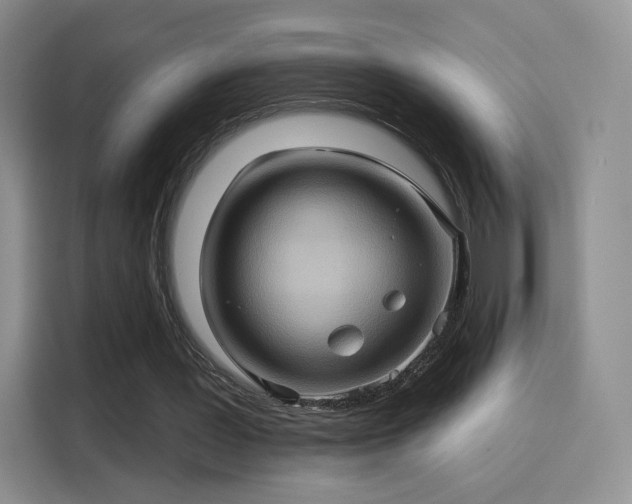 X0000114100387200910131327