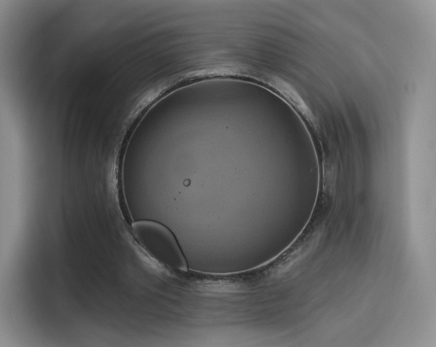 X0000114100389200910131326