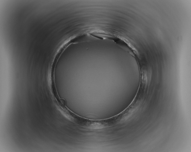 X0000114100390200910131326