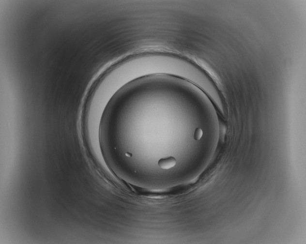 X0000114100391200910131326