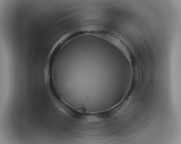 X0000114100392200910131326