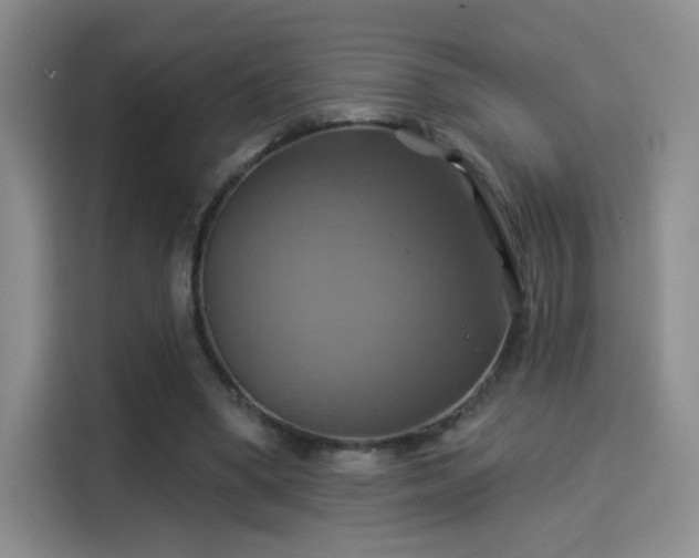 X0000114100394200910131326