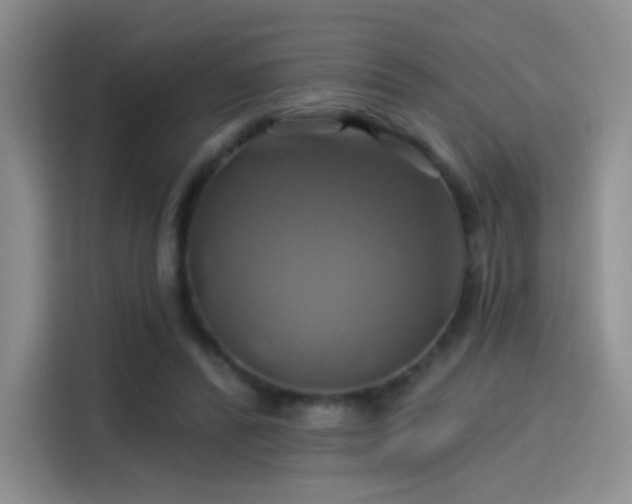 X0000114100400200910131326