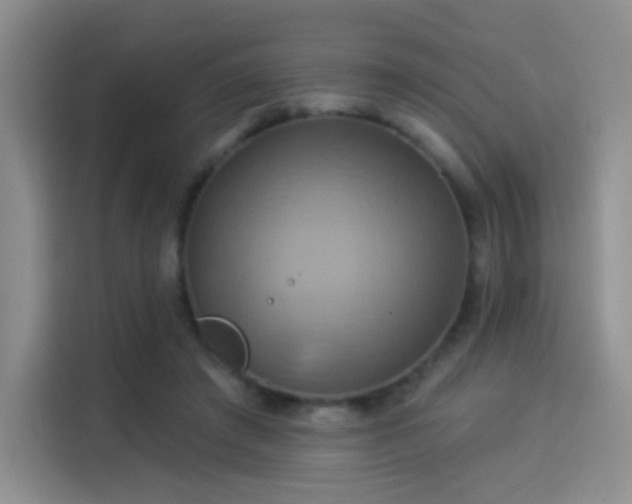 X0000114100401200910131326