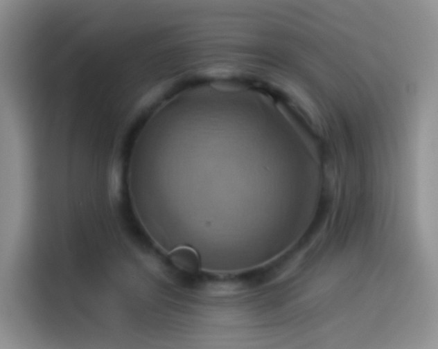 X0000114100404200910131326