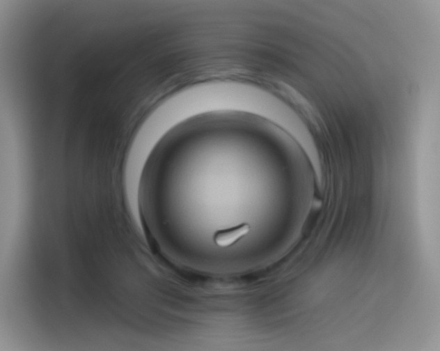 X0000114100405200910131326