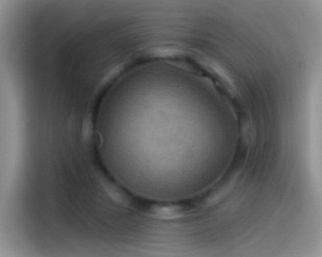 X0000114100407200910131326