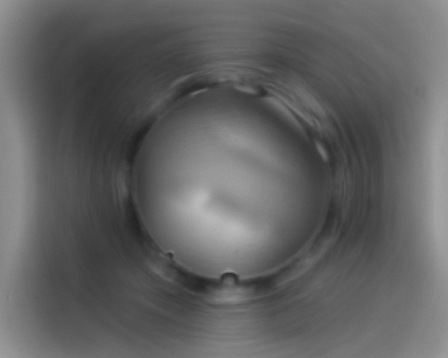 X0000114100413200910131326