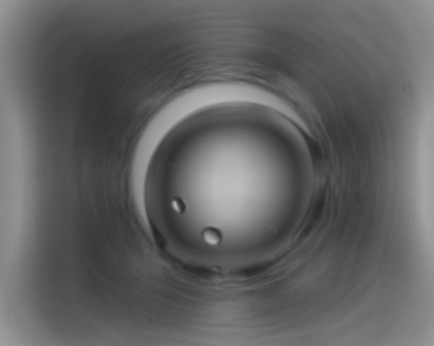 X0000114100415200910131326