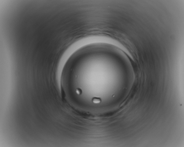 X0000114100419200910131326