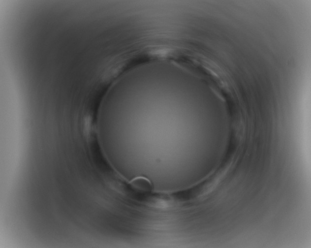 X0000114100420200910131326