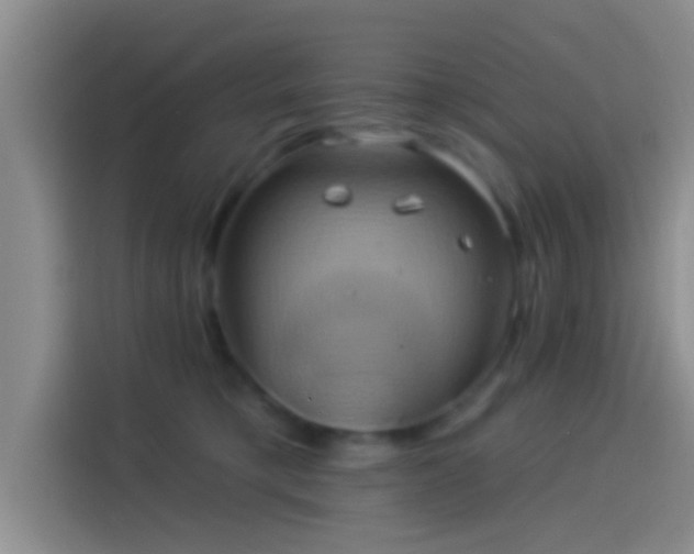 X0000114100421200910131326