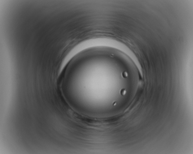 X0000114100423200910131326