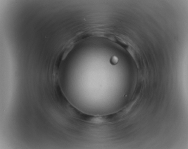 X0000114100425200910131326