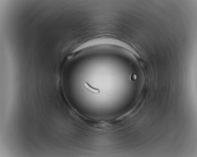 X0000114100427200910131326