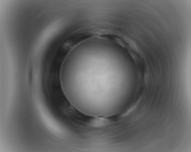 X0000114100429200910131326