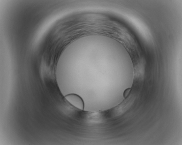 X0000114100431200910131326