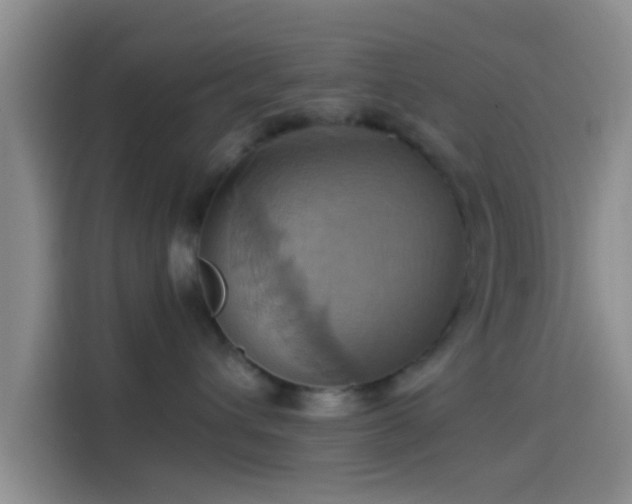 X0000114100432200910131326