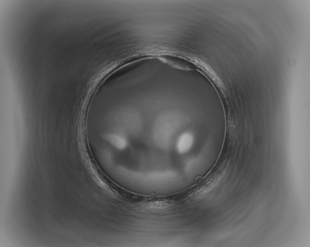 X0000114100433200910131325