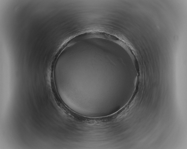 X0000114100434200910131325