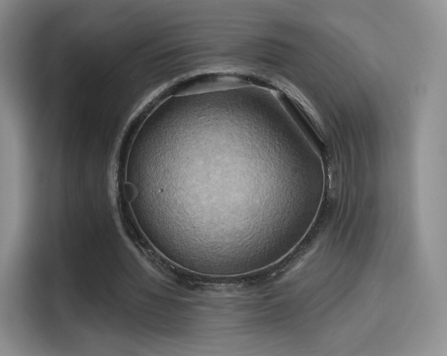 X0000114100436200910131325