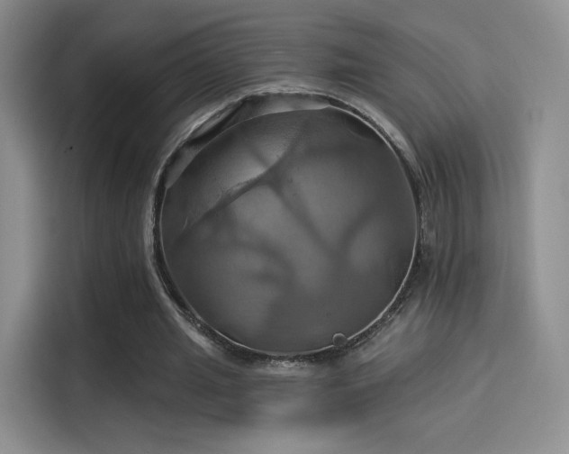 X0000114100437200910131325