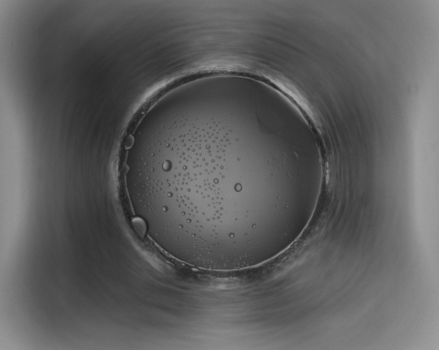 X0000114100438200910131325