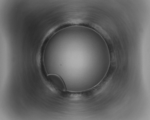 X0000114100440200910131325