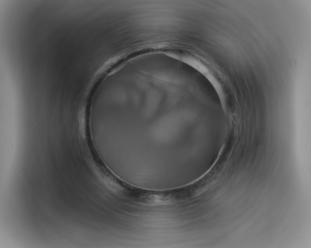 X0000114100442200910131325