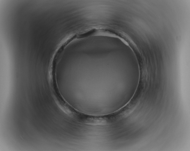 X0000114100443200910131325