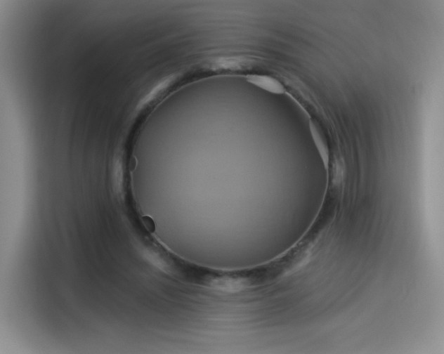 X0000114100444200910131325