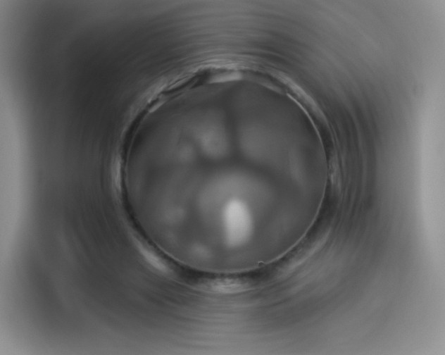 X0000114100445200910131325