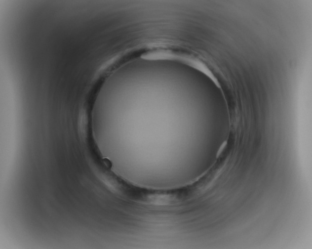 X0000114100448200910131325