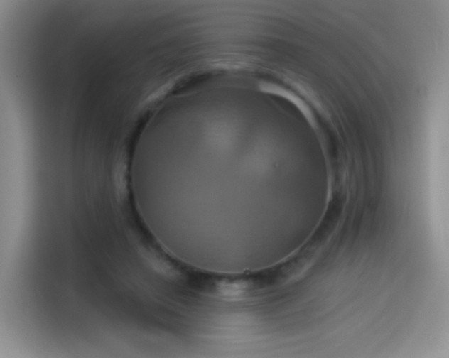 X0000114100450200910131326