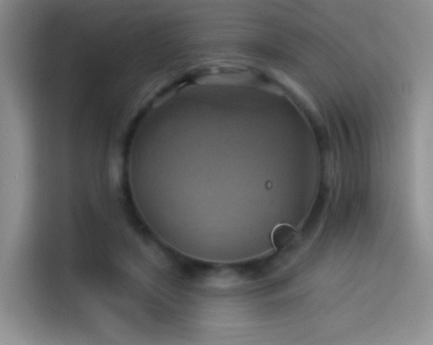 X0000114100451200910131326