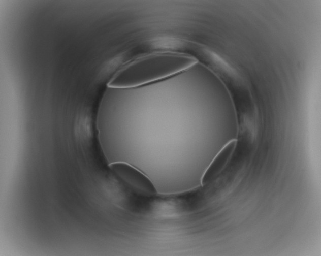 X0000114100452200910131326