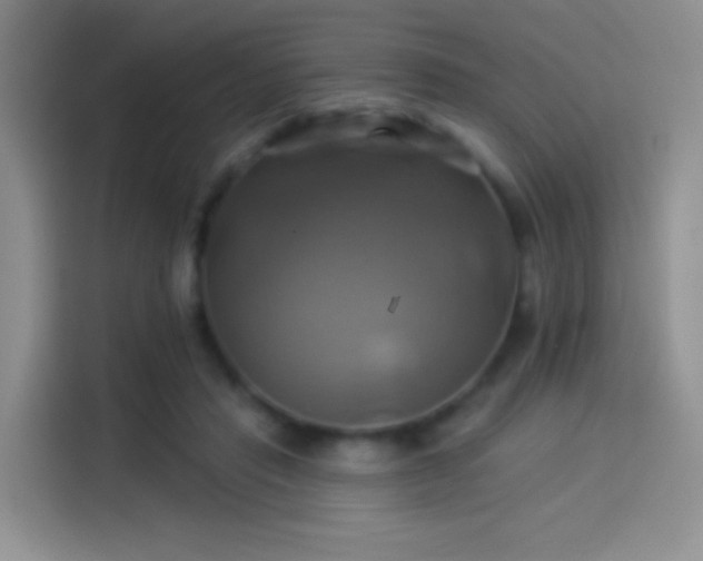 X0000114100453200910131326